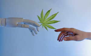 AI hand and Human hand reaching for a cannabis leaf
