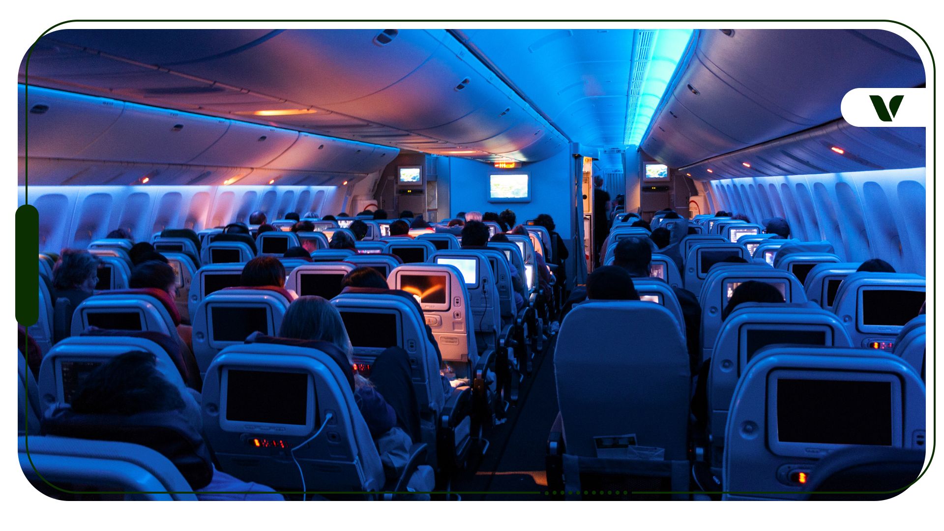 Airport + Cannabis Horror Stories