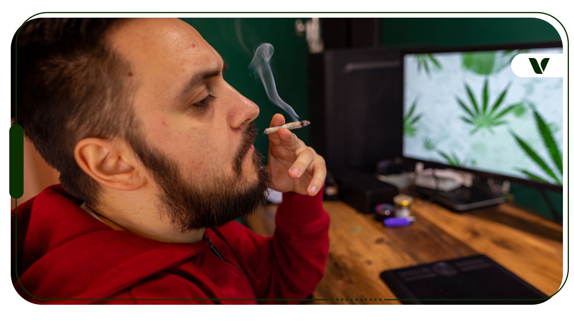 CAN WEED MAKE YOU DUMB? WHAT SCIENCE SAYS ABOUT YOUR BRAIN