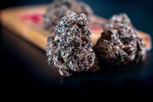 cannabis bud