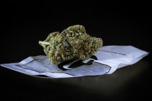 kush on a black surface