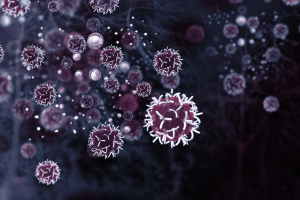 cells