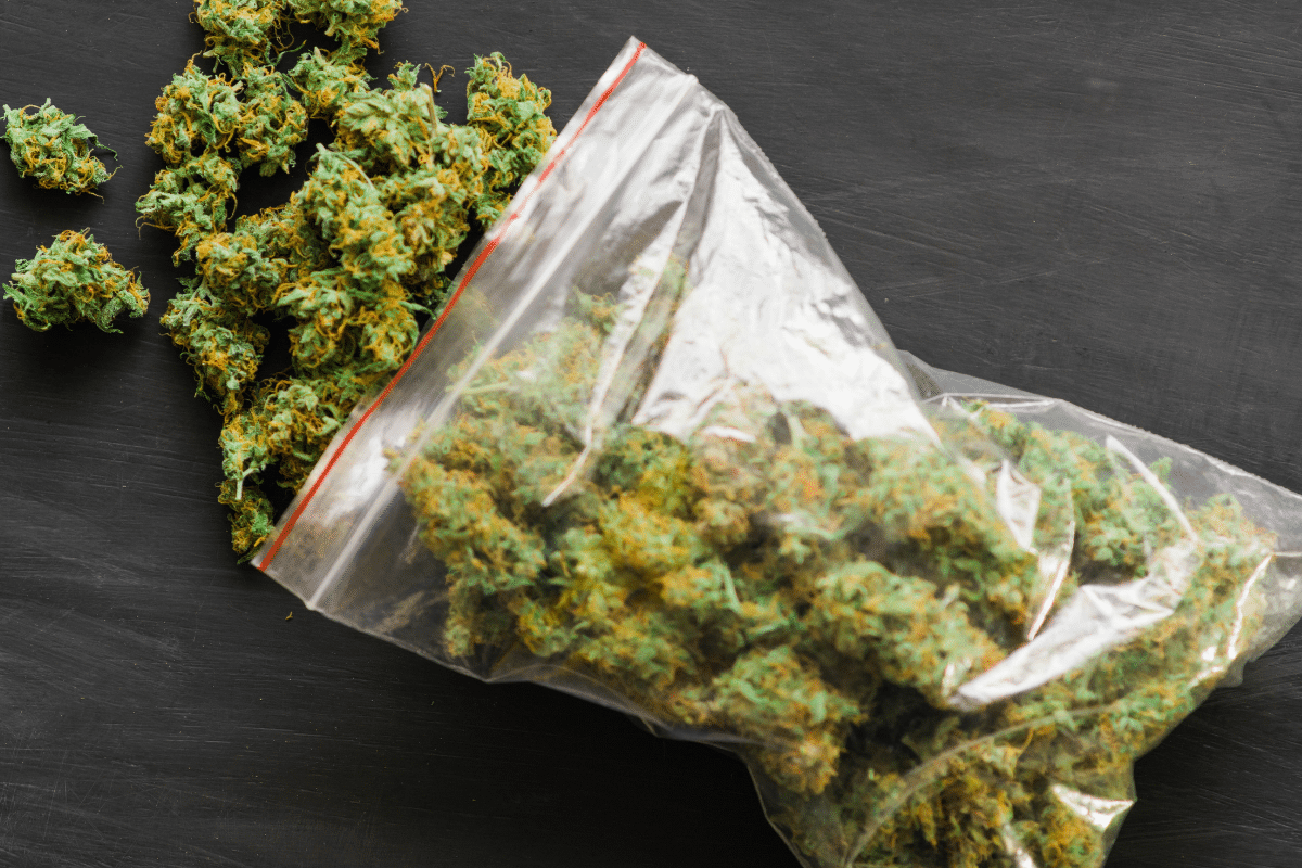 cannabis in a plastic bag