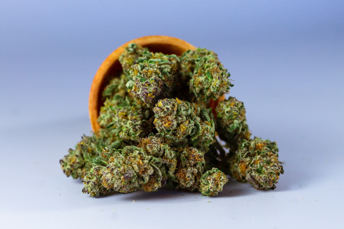 cannabis in a pill bottle