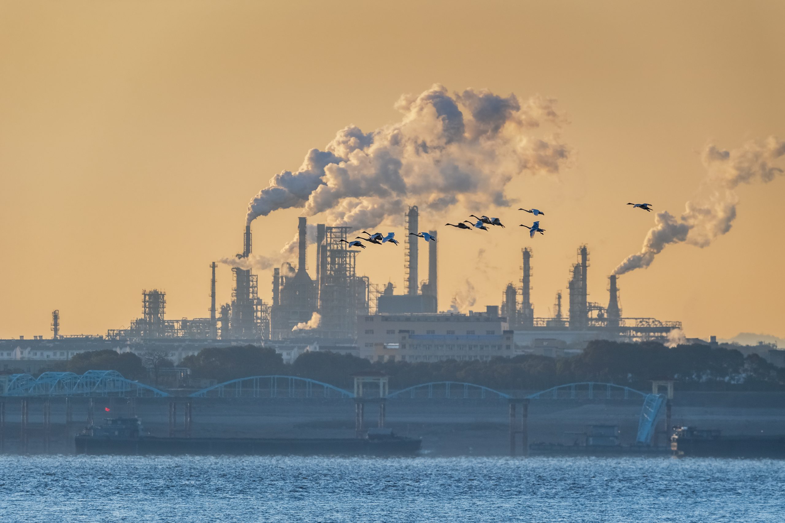 little swans fly over the thick smoking oil refinery in the early morning by the Yangtze River, China