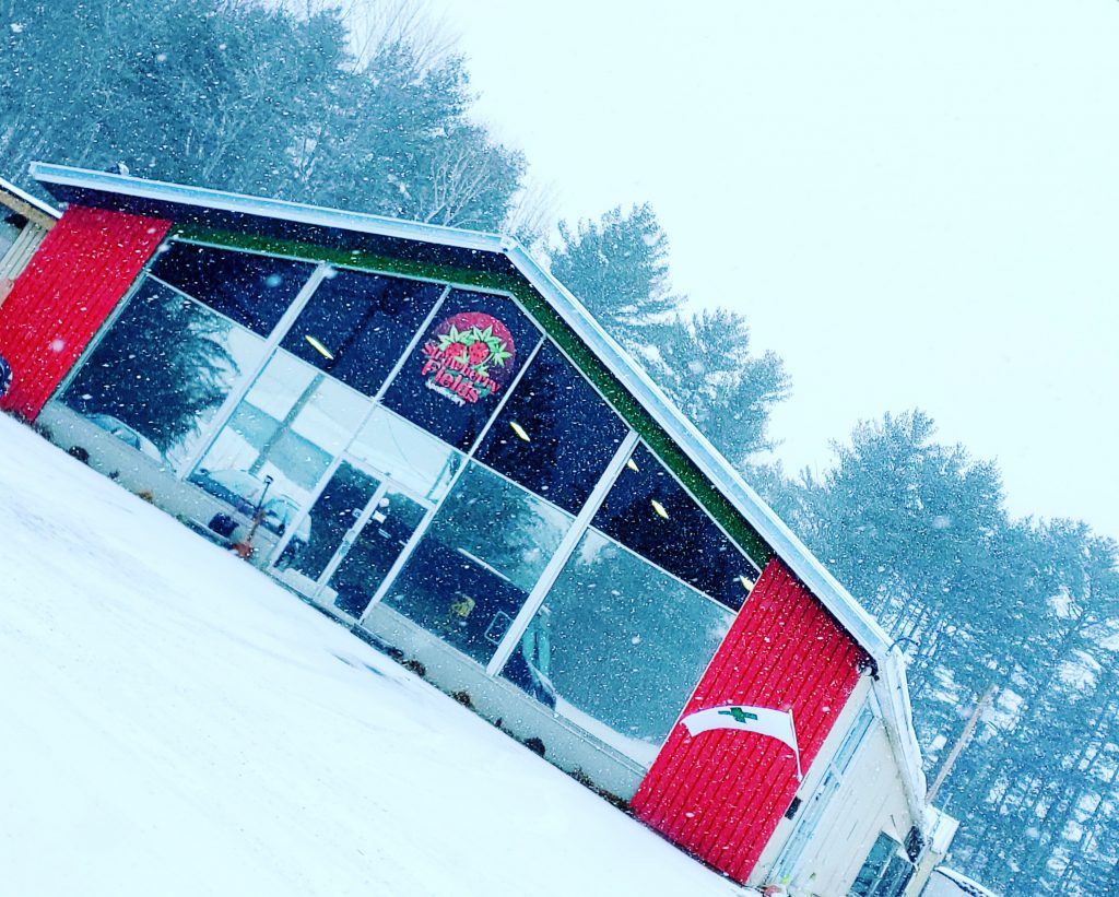 Strawberry Fields Apothecary Lewiston, Maine Cannabis Dispensary