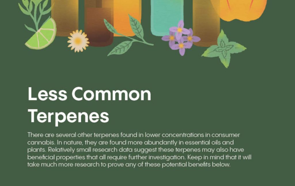 Understanding Terpenes Cannabinoids Eshop