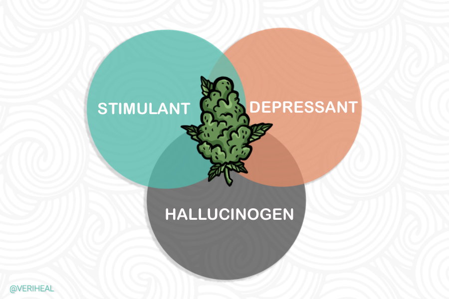 Is Cannabis Classified as a Hallucinogen, Stimulant, or Depressant?