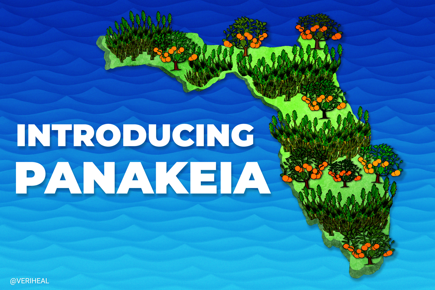 Panakeia: The First THC-Free Cannabis Plant Coming Out of Florida