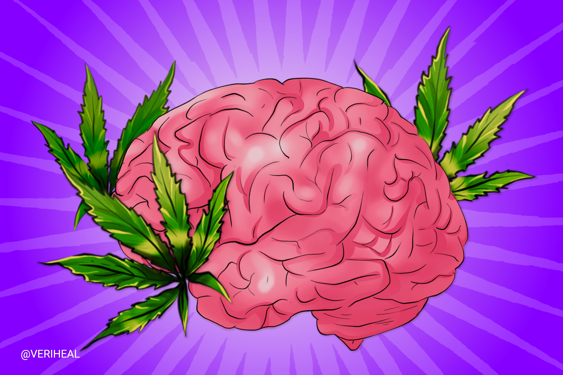Scientists Say That Cannabis Won’t Reduce Brain Cortical Thickness