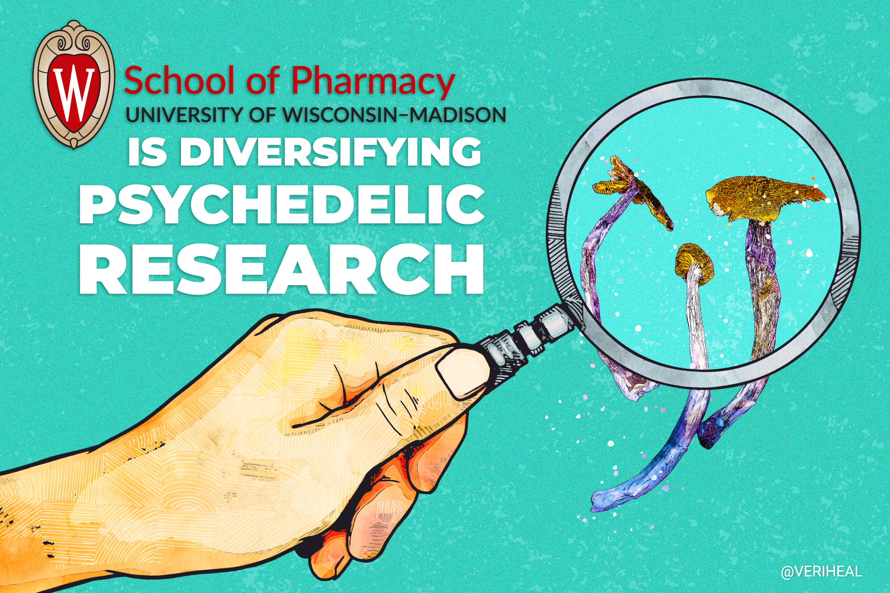 UW-Madison Is Diversifying Psychedelic Research