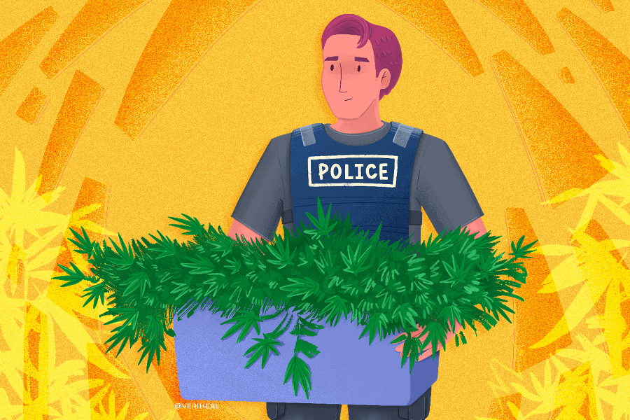 Raids on Illicit Cannabis Grows in California Expose Trafficking Victims