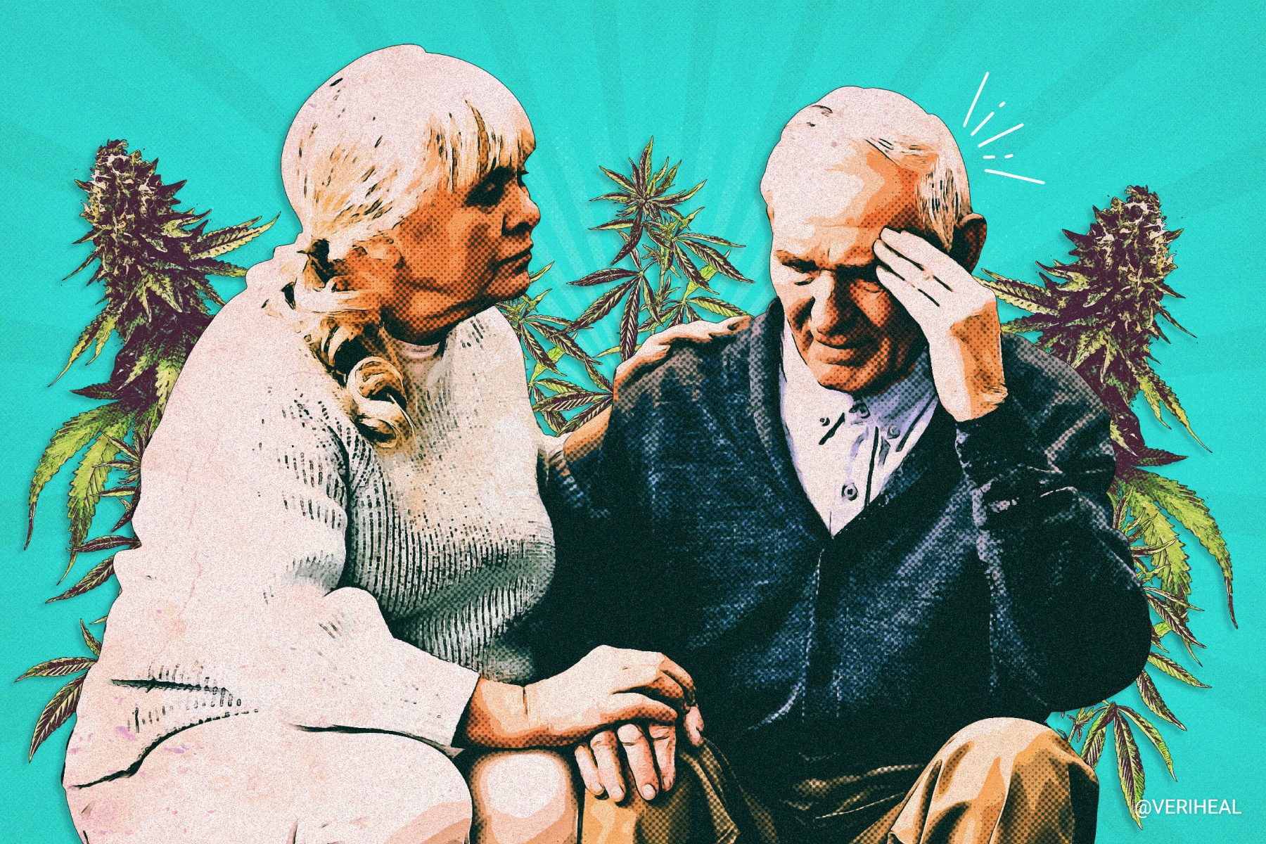 Alzheimer's Disease and Medical Cannabis