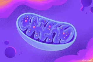 Cannabis for Mitochondrial Disease: Benefits & Research