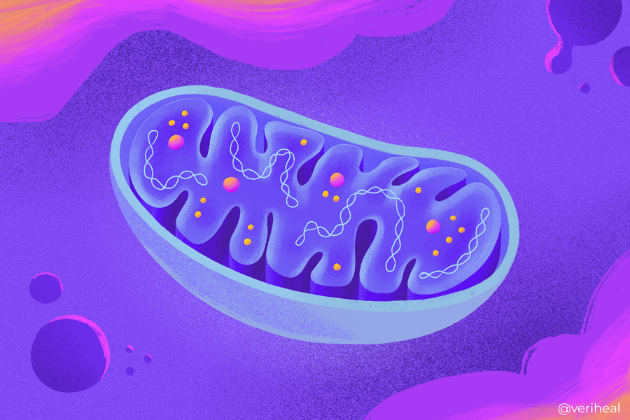 Mitochondrial_Disease